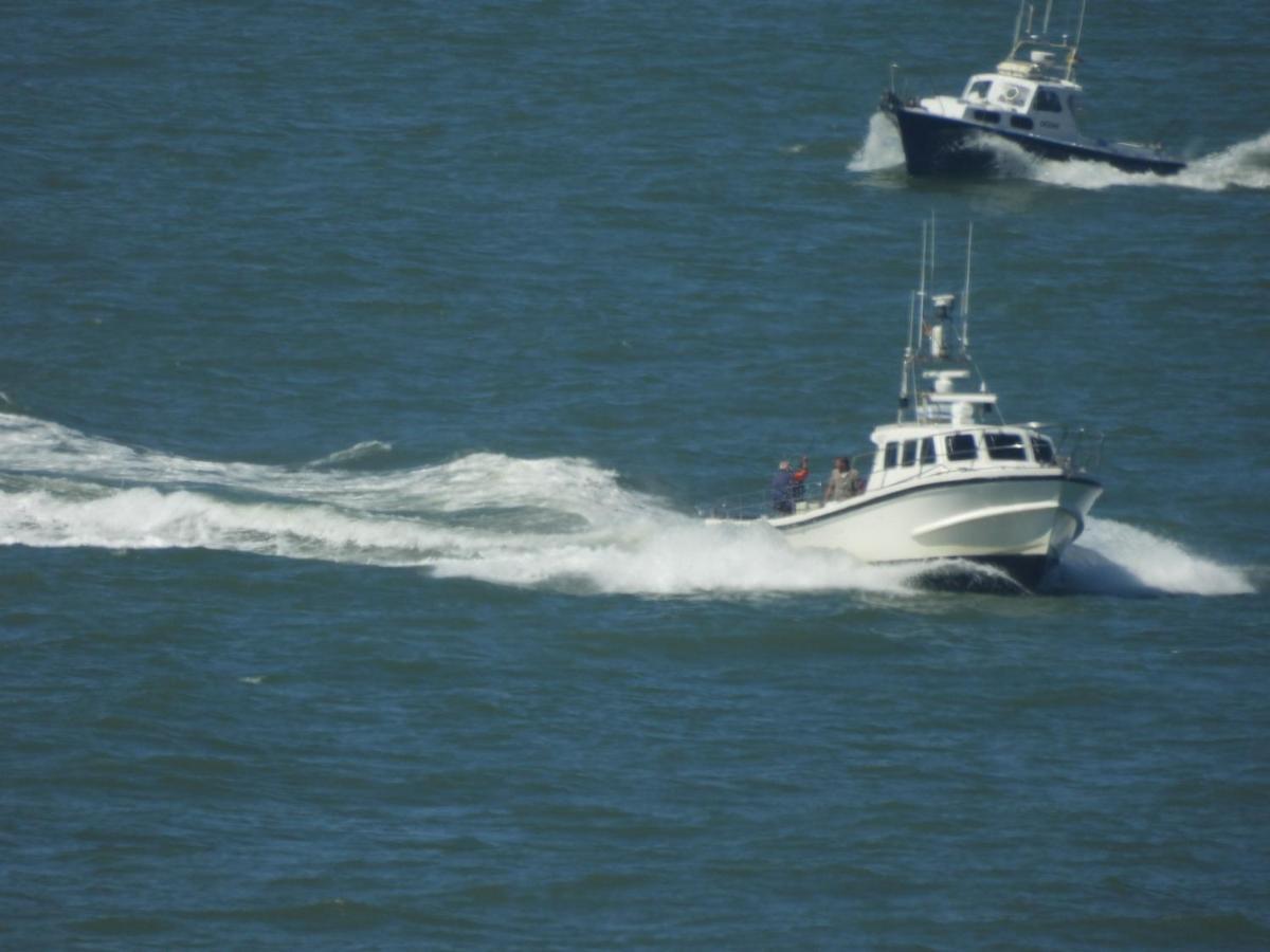 Seacityview Oostende Luaran gambar